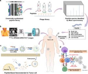 Therapeutic Peptides: Revolutionizing Modern Medicine